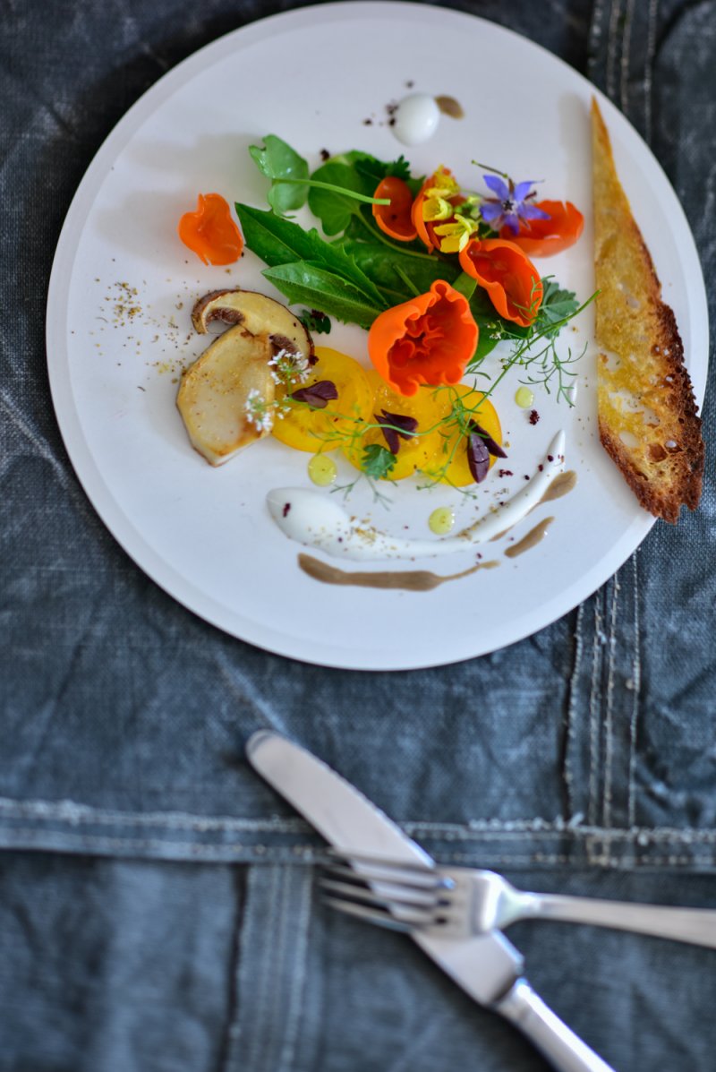Wildkräuter Salat mit Orangebecherling aleuria aurantia, Semmelgelber Schleimkopf Cortinarius varius
